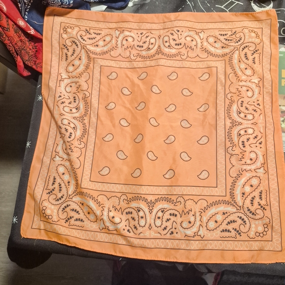 Colorful Bandanas - Picture 6 of 9